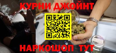 гашик Будённовск