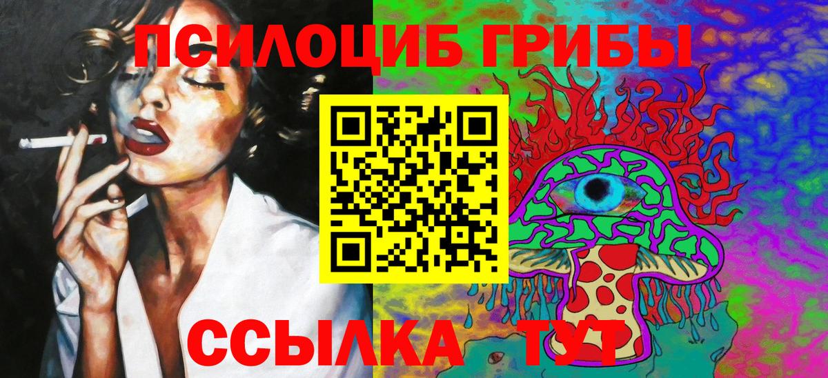 Псилоцибиновые грибы GOLDEN TEACHER  Вход с VPN  Псилоцибиновые грибы мицелий  Сланцы 